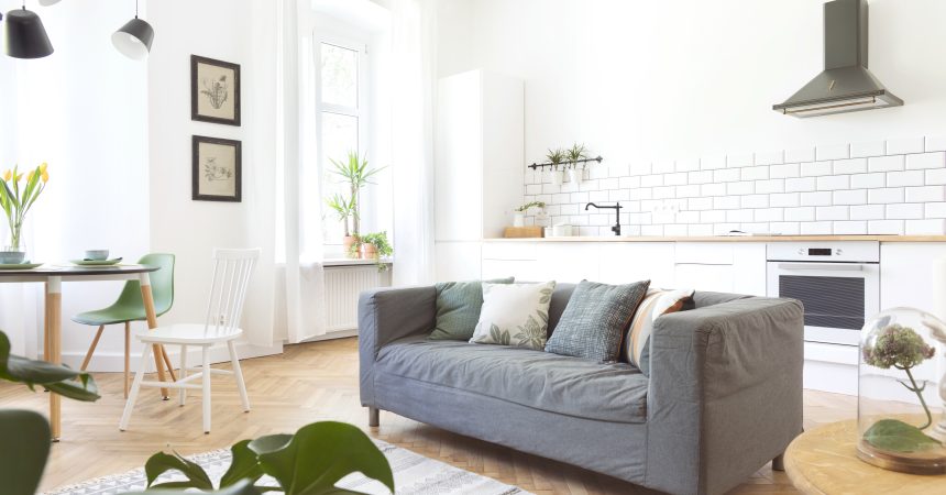 stylish-scandinavian-open-space-with-kitchen-acces-2026-03-09-21-45-05-utc